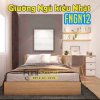 giuong-ngu-kieu-nhat-ban-funismart-fngn12-hien-dai.jpeg