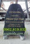 cau-tao-bia-da-trong-cay-luu-niem.jpg